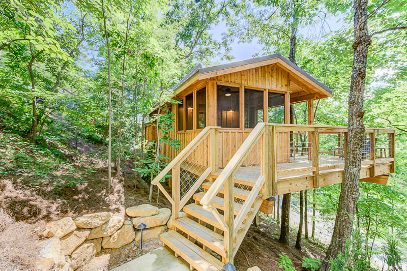 The Cherry in Treehouse Grove at Norton Creek Main Image