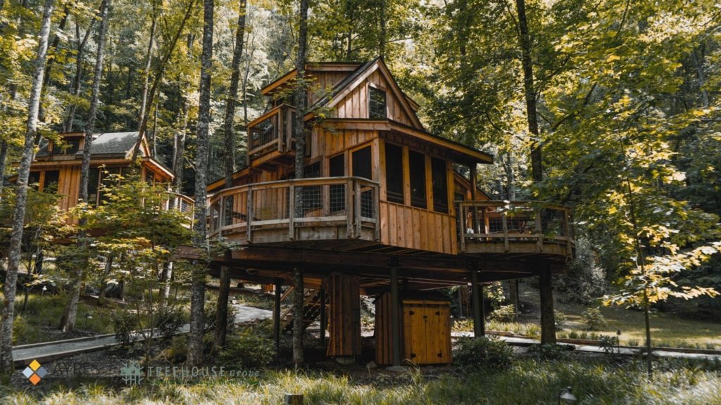 Top 10 Things You Need to Know About Treehouse Grove Treehouse Grove