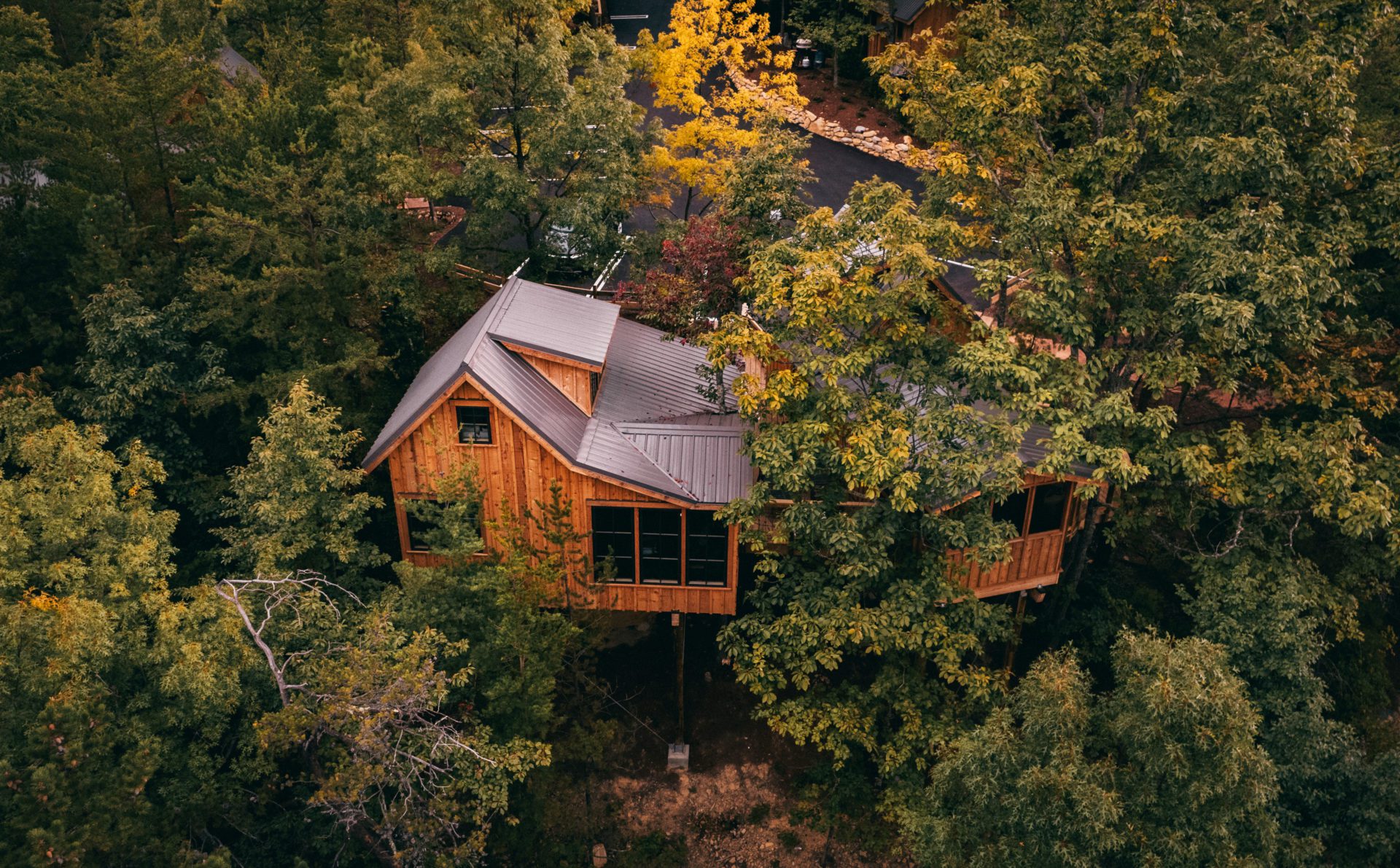 Summer in the Smokies