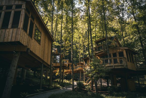 By The Creek Treehouses