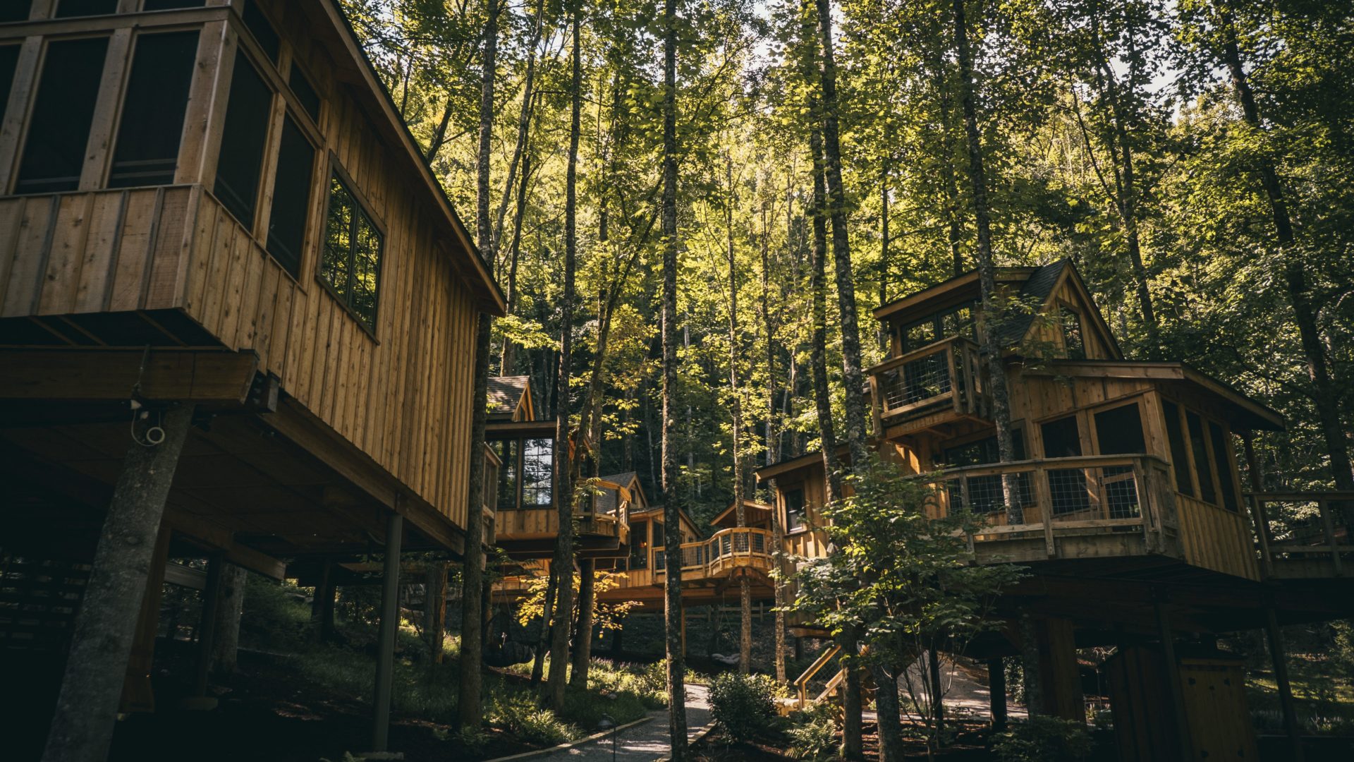 Creekside Treehouses