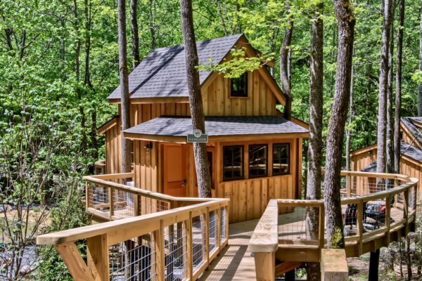 Treehouse