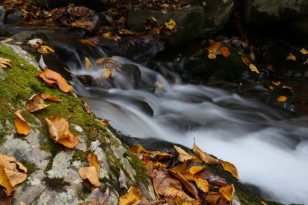 Creek