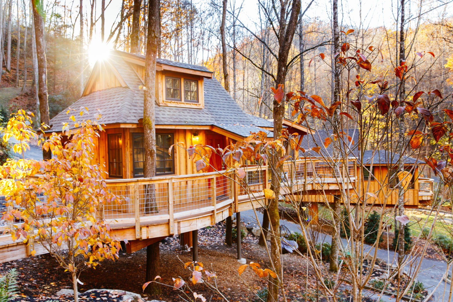Treehouse in Autumn