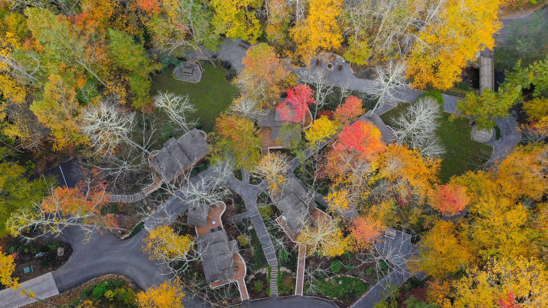 Drone of "By the Creek" Treehouses