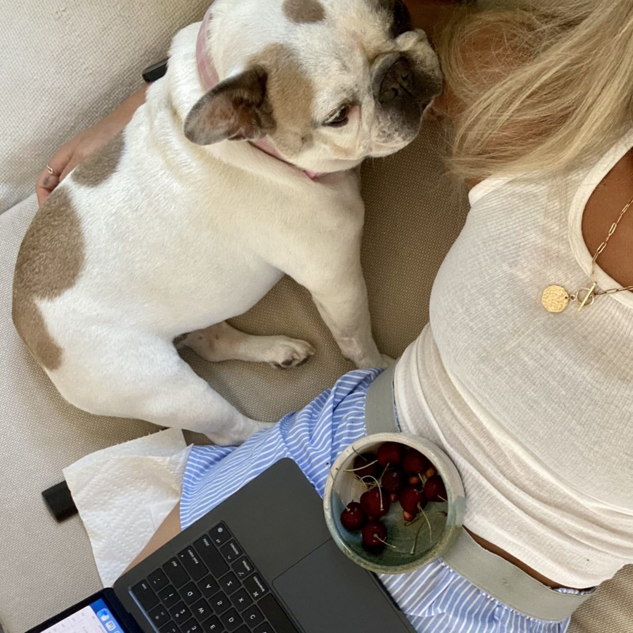 Work from Home with Dog