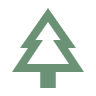 Tree Icon