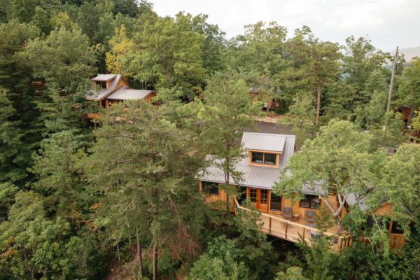 Bird's Eye View of Two Treehouses in the Forest Mountains
