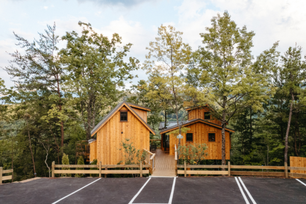The Spruce Treehouse