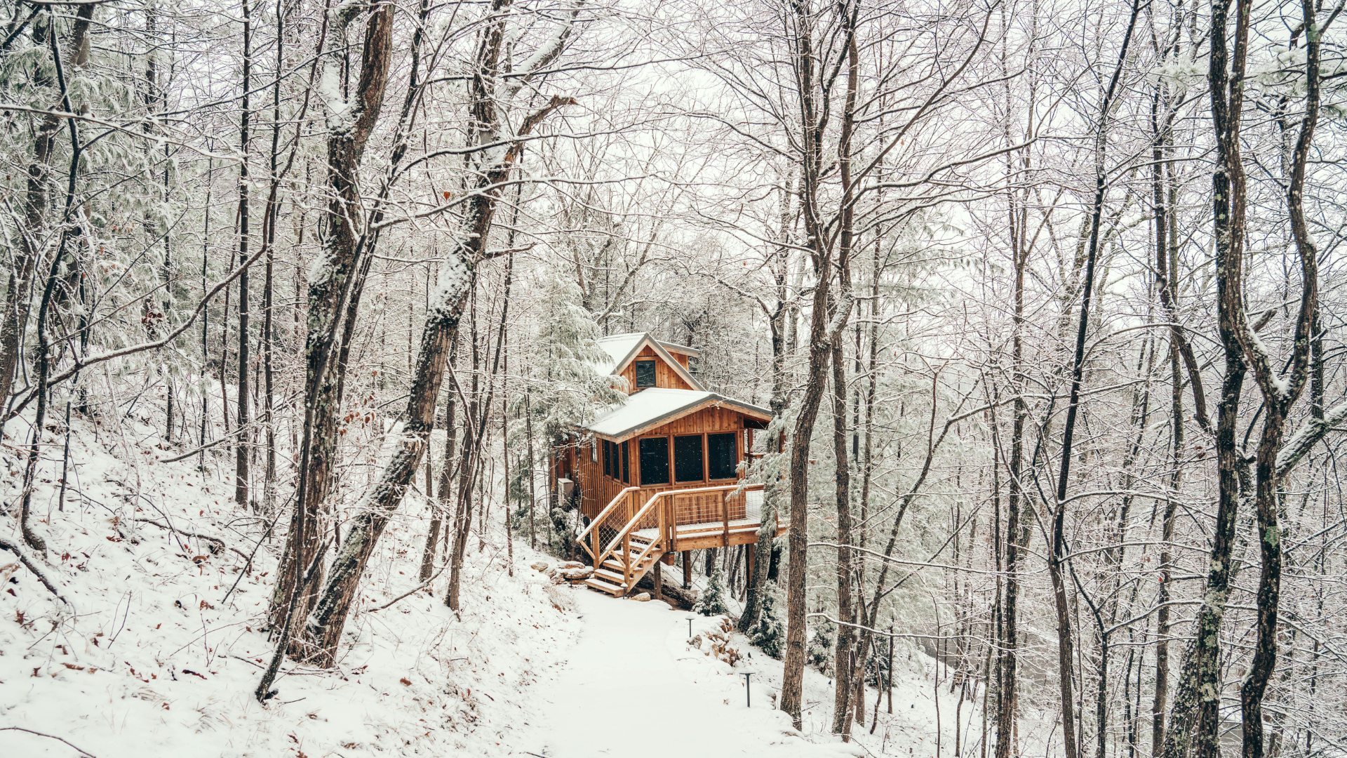 The Cherry in Snow