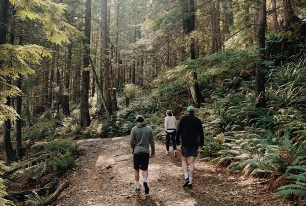 Hikers