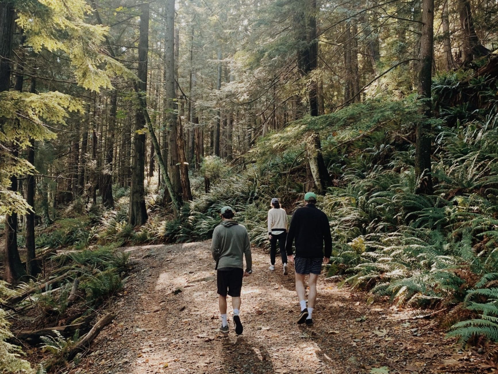 Gatlinburg Hiking Trails