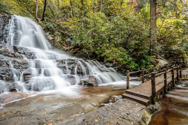 Treehouse Grove at Norton Creek | Gatlinburg, TN
